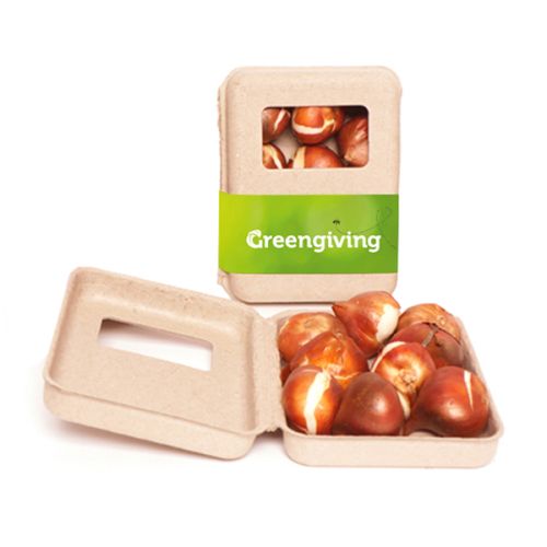 Window box flower bulbs medium - Image 1